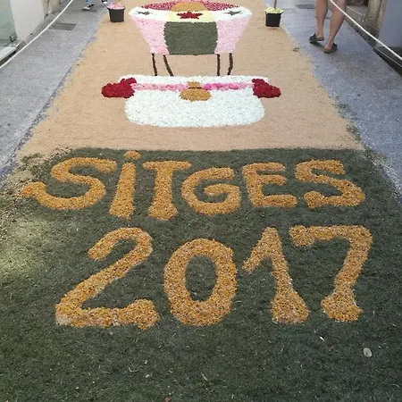 Unique With Amazing Terrace Centre דירה